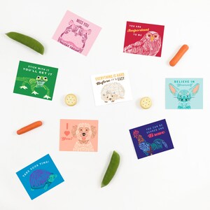 May include: Set of ten colorful cards with inspirational messages and illustrations. The cards feature a variety of animals, including a frog, a hedgehog, a rooster, a dog, a turtle, a hippopotamus, an owl, and a fox. The cards are printed on thick cardstock and have a matte finish.