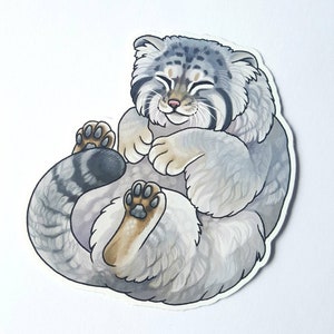 May include: A gray and white cartoon illustration of a curled up sleeping Pallas's cat. The cat has a fluffy tail and closed eyes.
