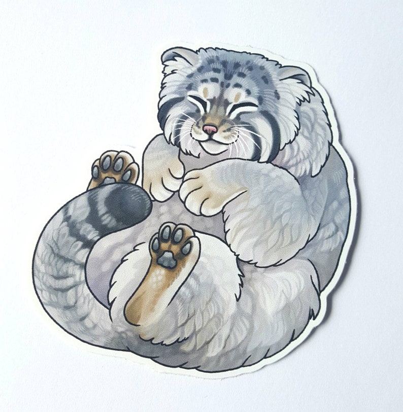 May include: A gray and white cartoon illustration of a curled up sleeping Pallas's cat. The cat has a fluffy tail and closed eyes.