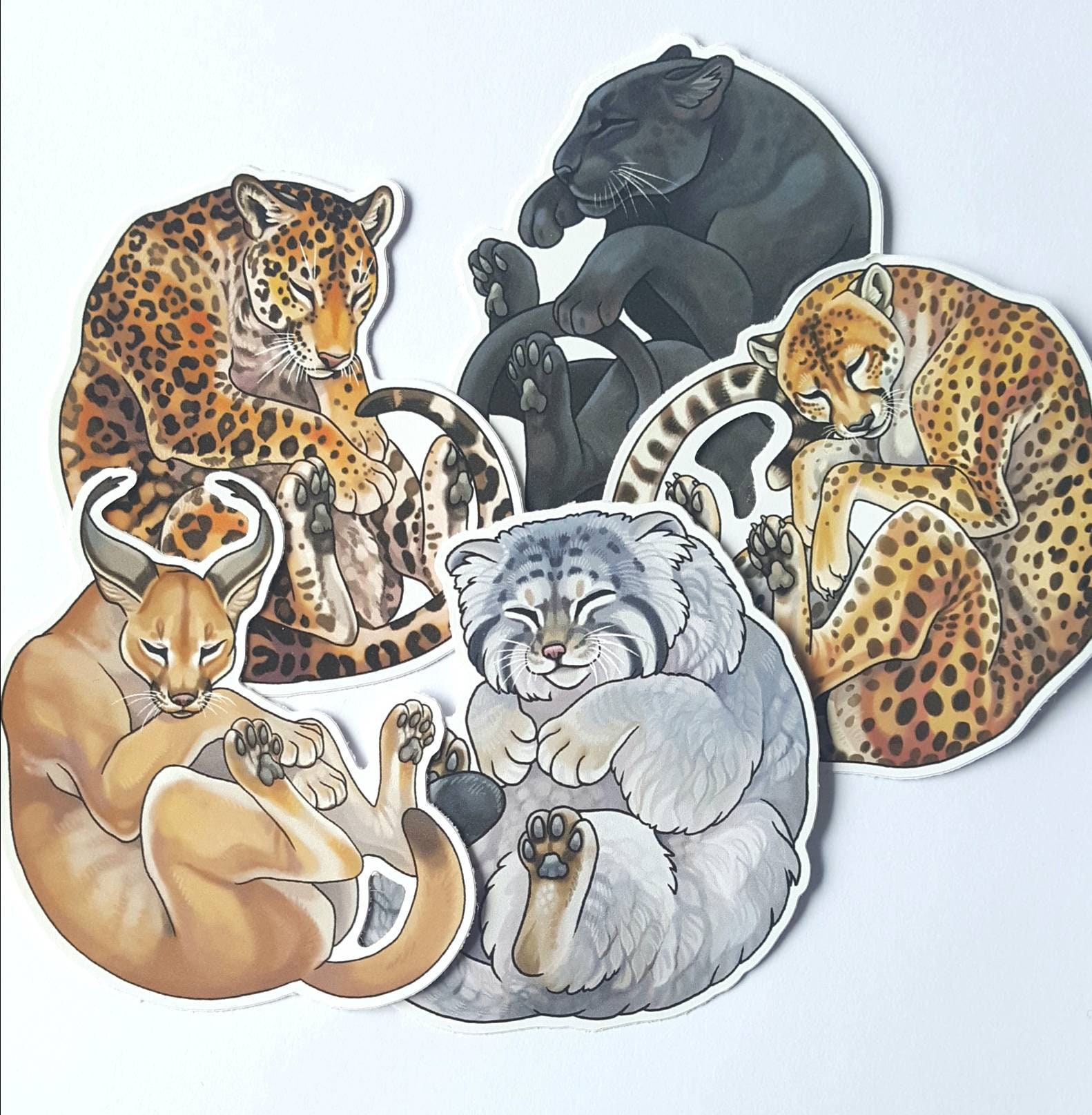 Vol.2 Sleepy big cat sticker pack - 5 vinyl animal stickers
