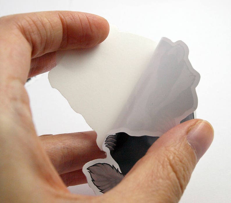 May include: A sticker with a black and white illustration of a wolf's head. The sticker is being peeled off of a white backing.