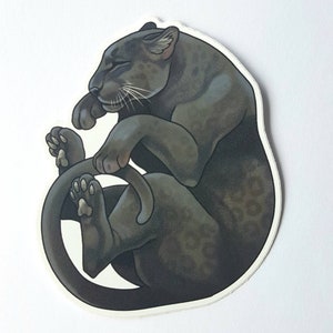 May include: A black panther curled up with its tail wrapped around its body. The panther has a spotted pattern and is depicted in a realistic style.