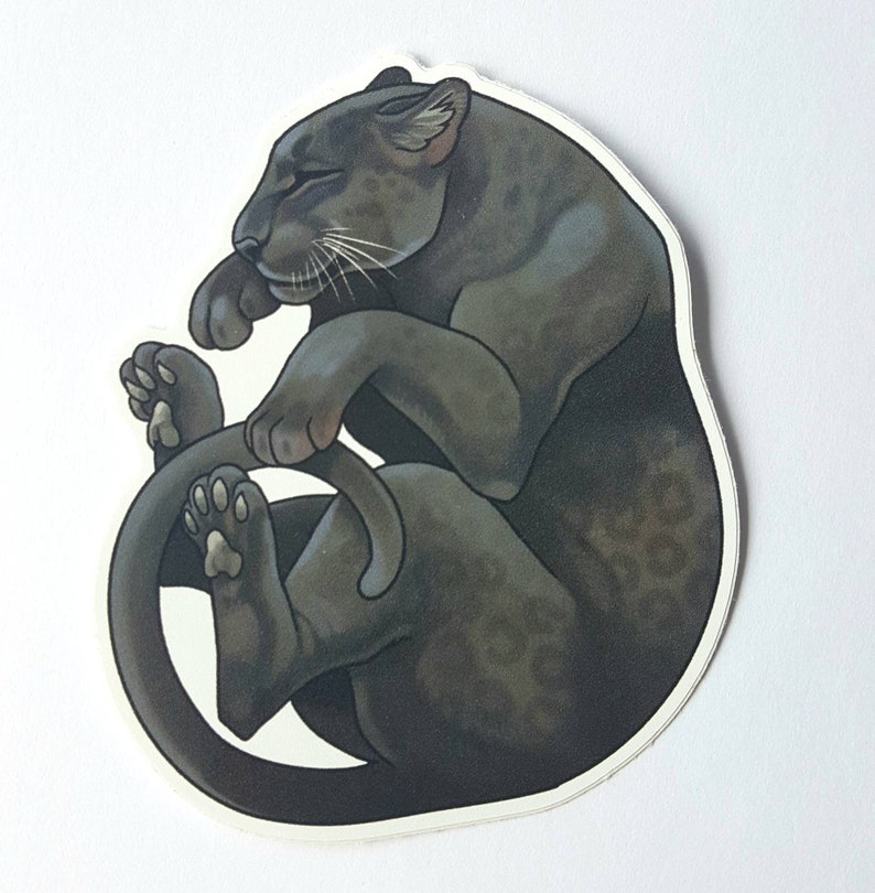 May include: A black panther curled up with its tail wrapped around its body. The panther has a spotted pattern and is depicted in a realistic style.