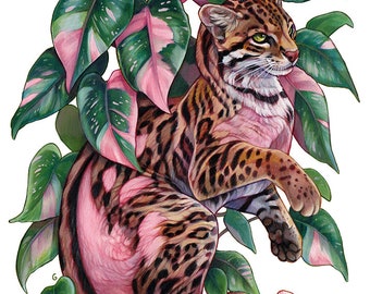 Art Print 'Philodendron Pink Princess' - 3 sizes