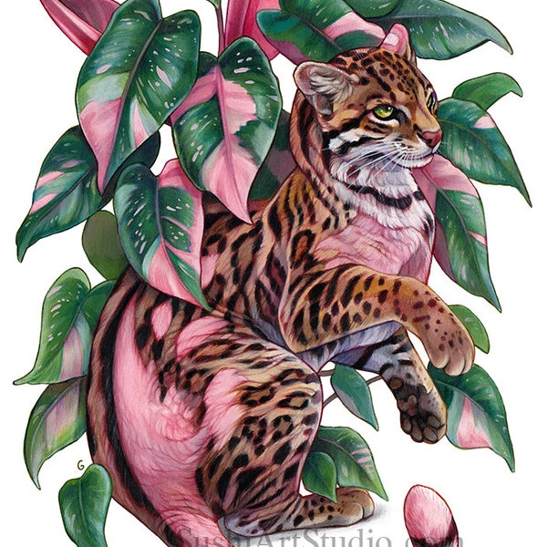 A4 print 'Philodendron Pink Princess'