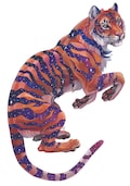 A4 Print  'Galaxy Tiger'