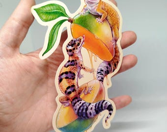 May include: Two leopard geckos are perched on a mango. The mango is dripping with juice. The geckos are orange and black with purple spots. The mango is yellow and green.
