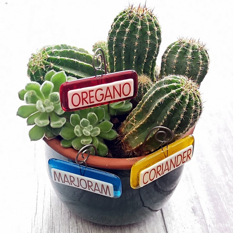 Handmade fused glass personalised hanging plant label. Colourful plant marker. Rainbow garden plant stake. Herb, vegetable, flower, fruit name. Gift for myself. Gift for rainbow lover.