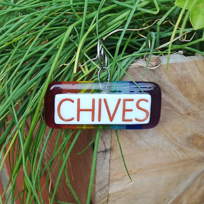Handmade fused glass personalised hanging plant label. Colourful plant marker. Rainbow garden plant stake. Herb, vegetable, flower, fruit name. Gift for the gardener.