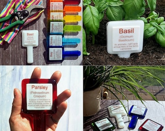 Handgemaakt glasgroentekruid tuinplantnaamlabel / marker / plantstok / tuinornament - permanente letters, vervagen of rotten niet