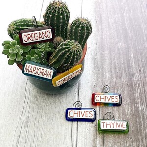 Handmade fused glass personalised hanging plant label. Colourful plant marker. Rainbow garden plant stake. Herb, vegetable, flower, fruit name. Gift for the new homeowner. Gift for plant parent.