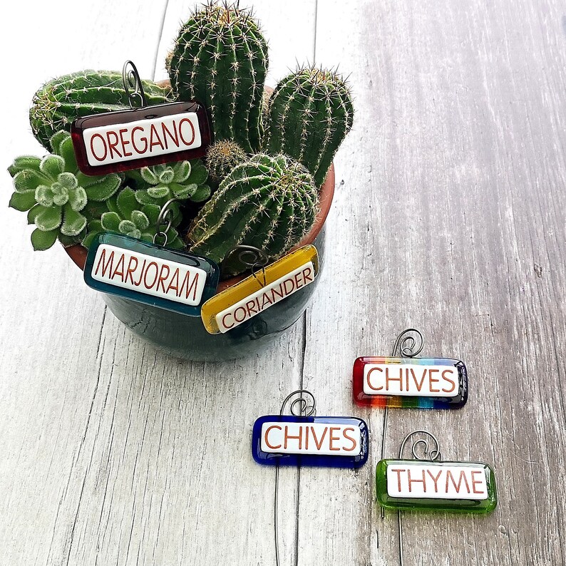 Handmade fused glass personalised hanging plant label. Colourful plant marker. Rainbow garden plant stake. Herb, vegetable, flower, fruit name. Gift for the new homeowner. Gift for plant parent.