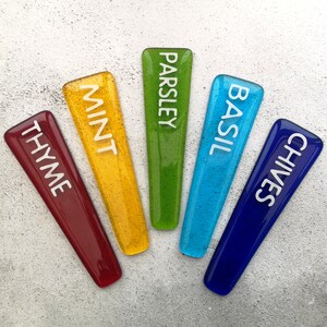 Handmade fused glass personalised plant label. Colourful plant marker. Rainbow garden plant stake. Herb, vegetable, flower, fruit name. Gift for home decor.
