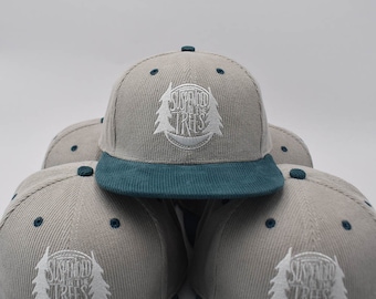 SITT gray and blue corduroy snapback