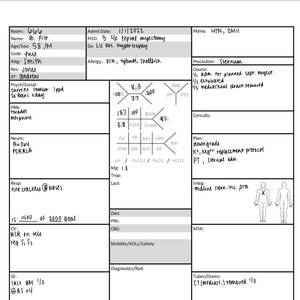 ICU Brain Sheet / Nursing Brain Sheet / RN Report Sheet / Customizable