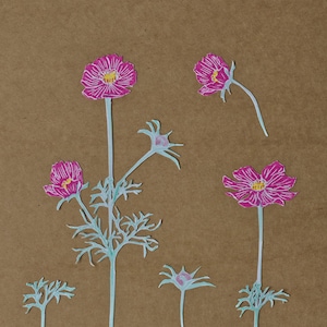 Cosmea : mapa de arte A6 con una ilustración botánica. postal de la placa de la escuela, impresión de lino, mapa de la naturaleza, ilustración de la naturaleza, impresión de arte, flores