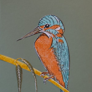 IJsvogel: kunstkaart A6 met een natuur illustratie. dieren postkaart, lino druk, natuurkaart, natuur illustratie, art print, vogelkaart