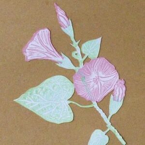 Akkerwinde: Kunstkarte A6 botanische Illustration. Schultafel, Linoldruck, Karte, Naturillustration, Postkarte, Feldbindkraut, Convolvulus