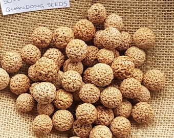 50 Wild Peach Quandong seeds