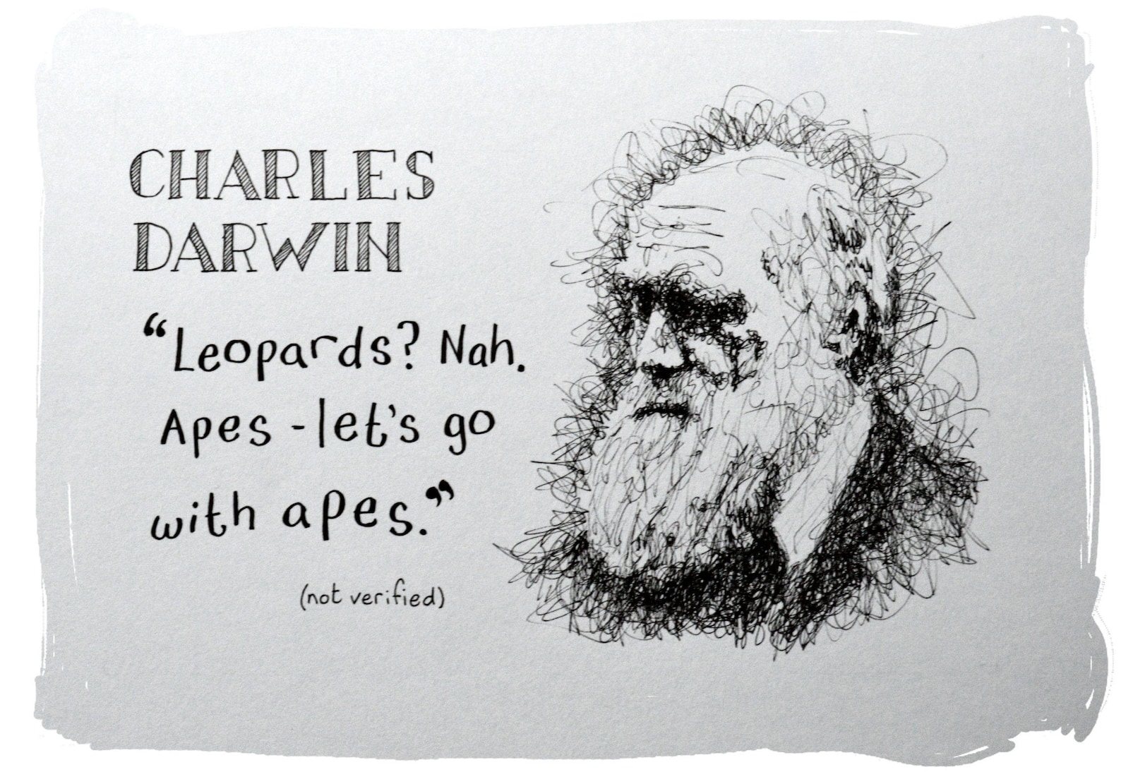 OORSPRONKELIJKE Charles Darwin grappig citaat Etsy