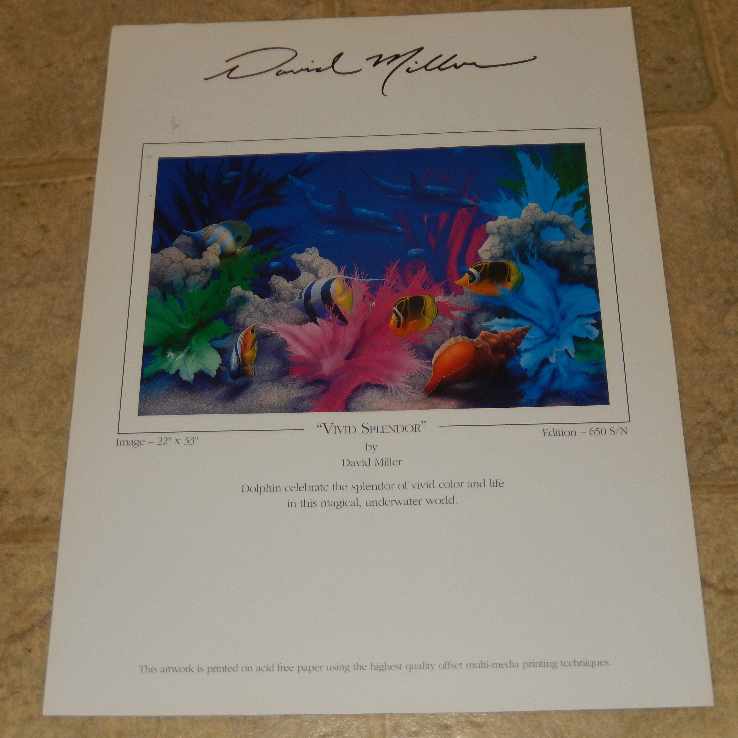 1992 Signed Numbered David MILLER Limited Edition VIVID SPLENDOR