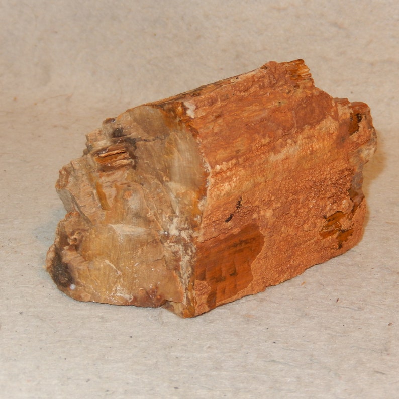The Uncut Wood by Slade James The Uncut Wood by Slade James