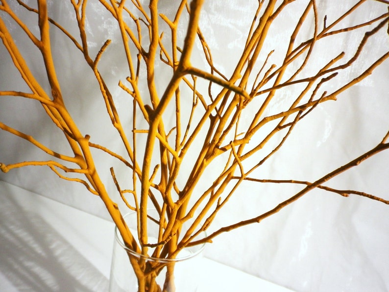 Tree Branches Orange Painted Branches Teracotta Color Wood Etsy