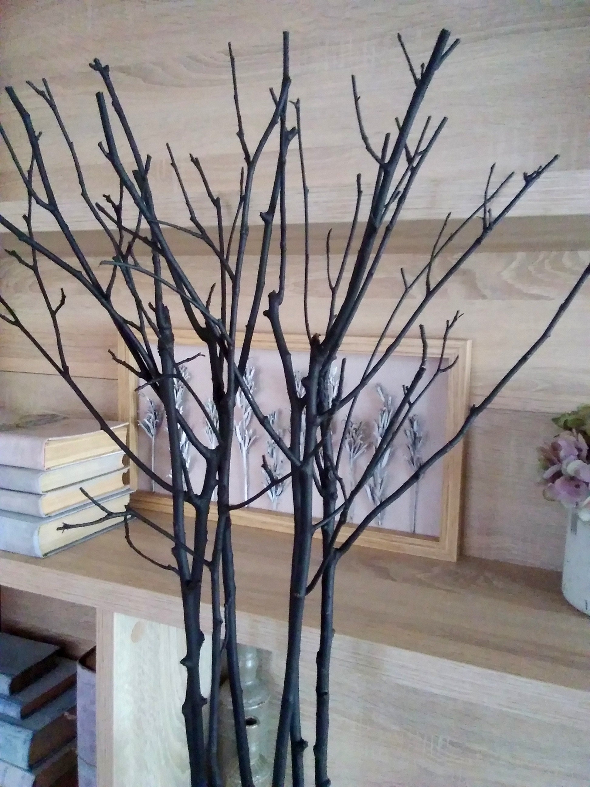 Black Tree Branches, Home Decor Branches, Rustic Decor, Woodland