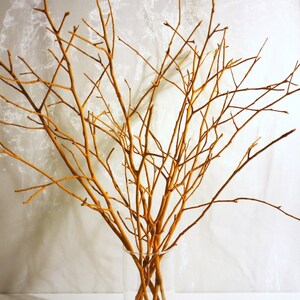 May include: A bunch of bare, brown branches arranged in a clear glass vase. The branches are thin and delicate, with many small twigs branching off from the main stems. The branches are arranged in a loose, natural way, creating a rustic and organic look.