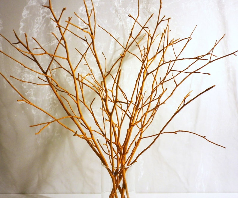May include: A bunch of bare, brown branches arranged in a clear glass vase. The branches are thin and delicate, with many small twigs branching off from the main stems. The branches are arranged in a loose, natural way, creating a rustic and organic look.