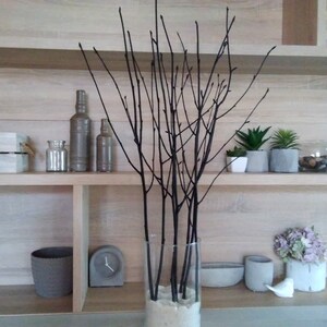 May include: A wooden shelf unit with three shelves, featuring a vase with black branches, three glass bottles, a wooden box, and various potted plants. The shelf unit is against a light wood wall.