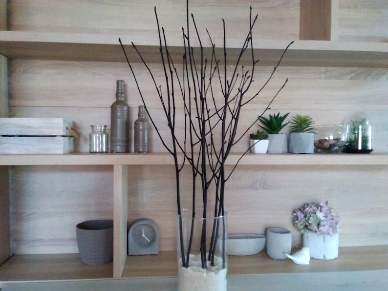 May include: A wooden shelf unit with three shelves, featuring a vase with black branches, three glass bottles, a wooden box, and various potted plants. The shelf unit is against a light wood wall.