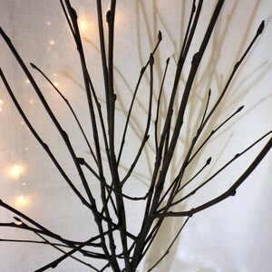May include: A collection of bare branches arranged in a vase, creating a simple and elegant silhouette against a white background.