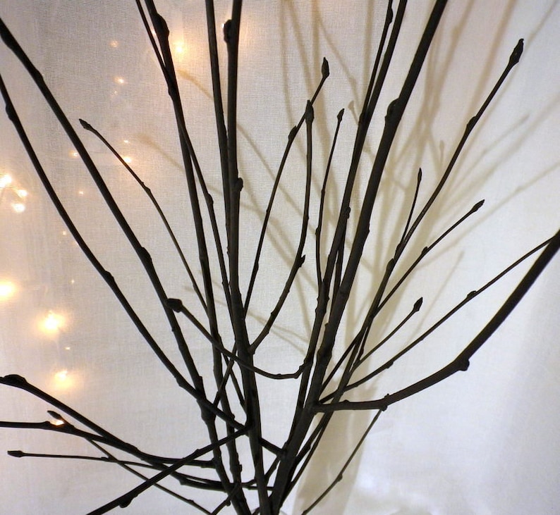 May include: A collection of bare branches arranged in a vase, creating a simple and elegant silhouette against a white background.
