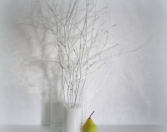 White tree branches, scandinavian home decor, woodland decor, painted branches, wedding centerpiece, natural decorative twigs, vase filler