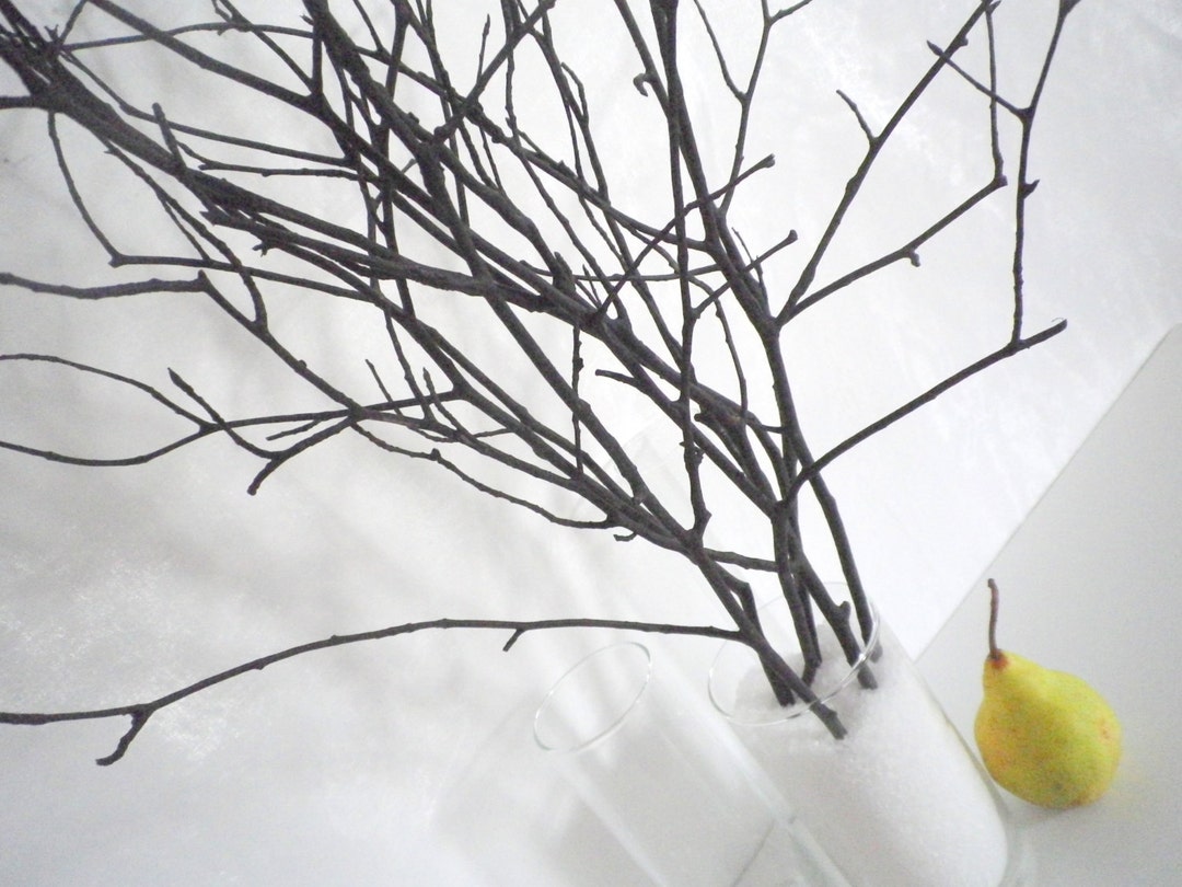 Black Tree Branches, Home Decor Branches, Rustic Decor, Woodland Home