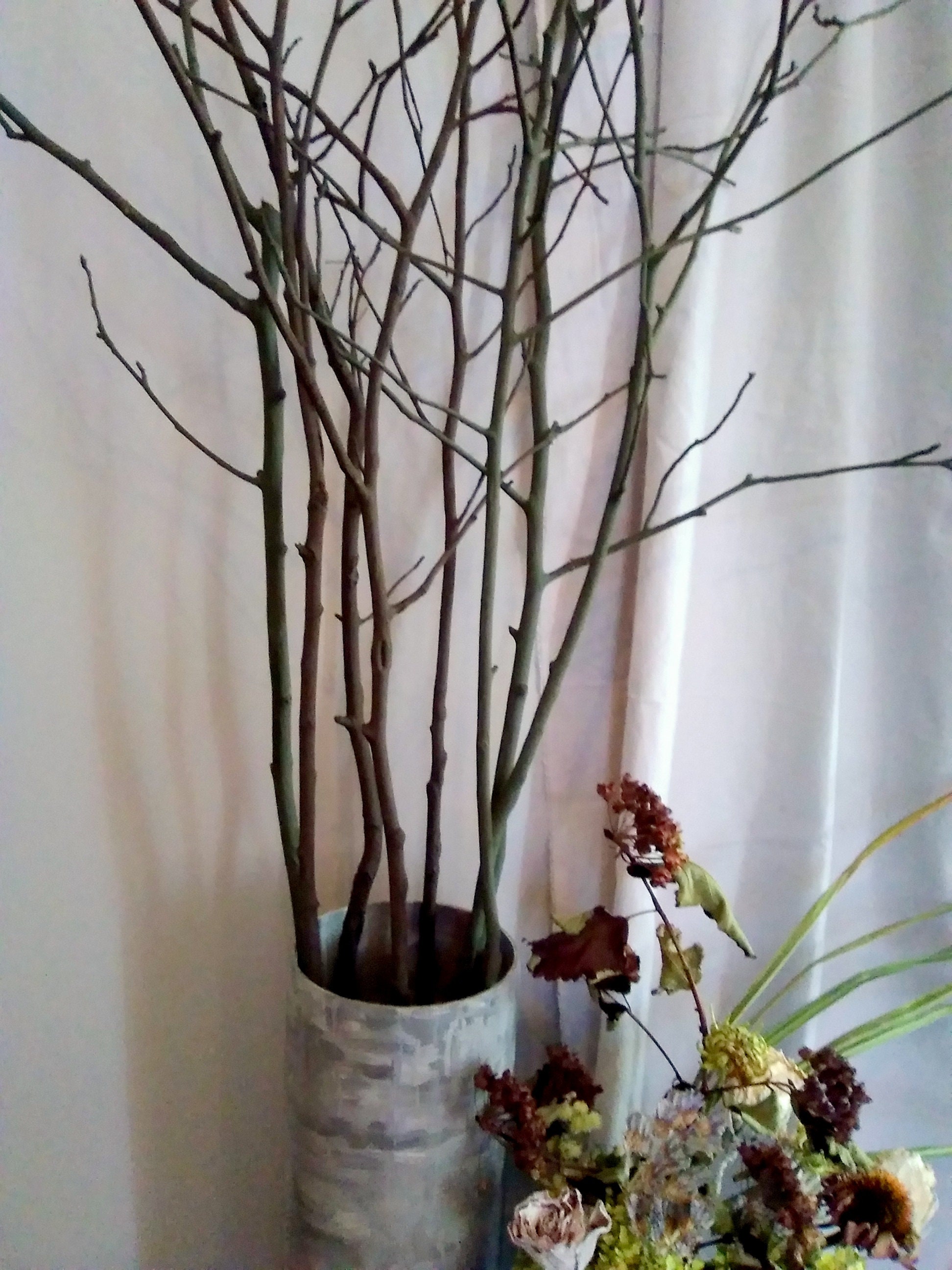 Decorative sticks for on sale vases
