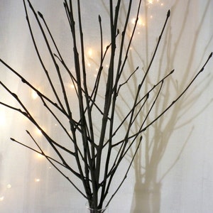 May include: A bouquet of bare branches with a string of white lights wrapped around them. The branches are arranged in a vase and the lights are casting a warm glow.
