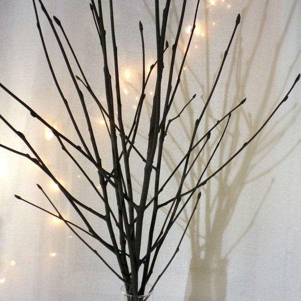 Branches d’arbre noir, remplissage de vase à branches noires, centre de table minimaliste simple moderne, bâtonnets d’arbre rowan pour vase tiges de bois noir brindilles noires