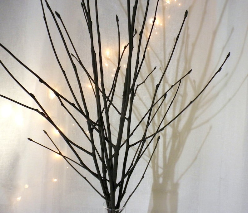 May include: A bouquet of bare branches with a string of white lights wrapped around them. The branches are arranged in a vase and the lights are casting a warm glow.