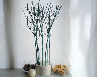May include: A clear glass vase filled with sand and teal-colored branches. The vase is surrounded by two smaller glass bowls, one filled with small stones and the other with dried flowers.