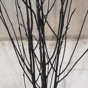 Black Rowan Tree Branches: Modern Minimalist Vase Filler (Set of 7) image 10