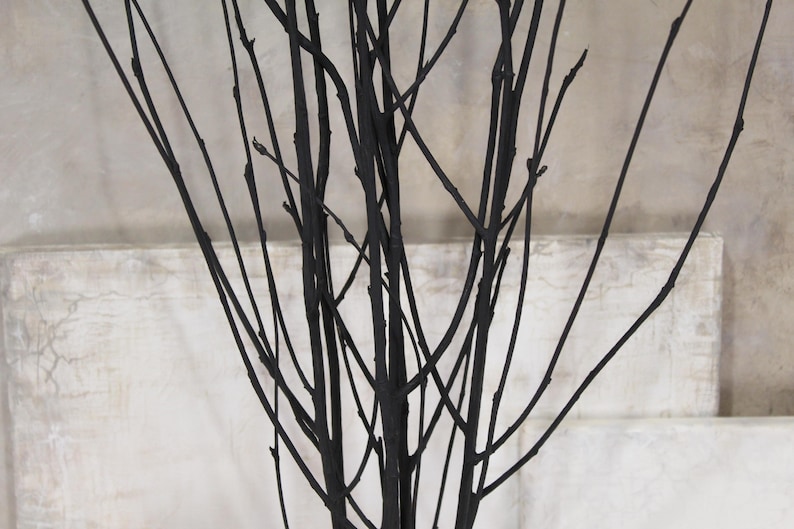 Black Rowan Tree Branches: Modern Minimalist Vase Filler (Set of 7) image 10