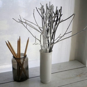 Puede incluir: Naturaleza muerta minimalista. Un jarrón blanco contiene ramas pintadas en blanco, gris y negro. Al lado, un tarro de cristal contiene lápices. El fondo es una cortina blanca y una superficie de madera.
