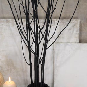 Black Rowan Tree Branches: Modern Minimalist Vase Filler (Set of 7) image 9