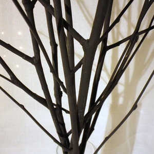 May include: A close-up of a bouquet of black branches arranged in a vase. The branches are thin and delicate, creating a minimalist and modern aesthetic.