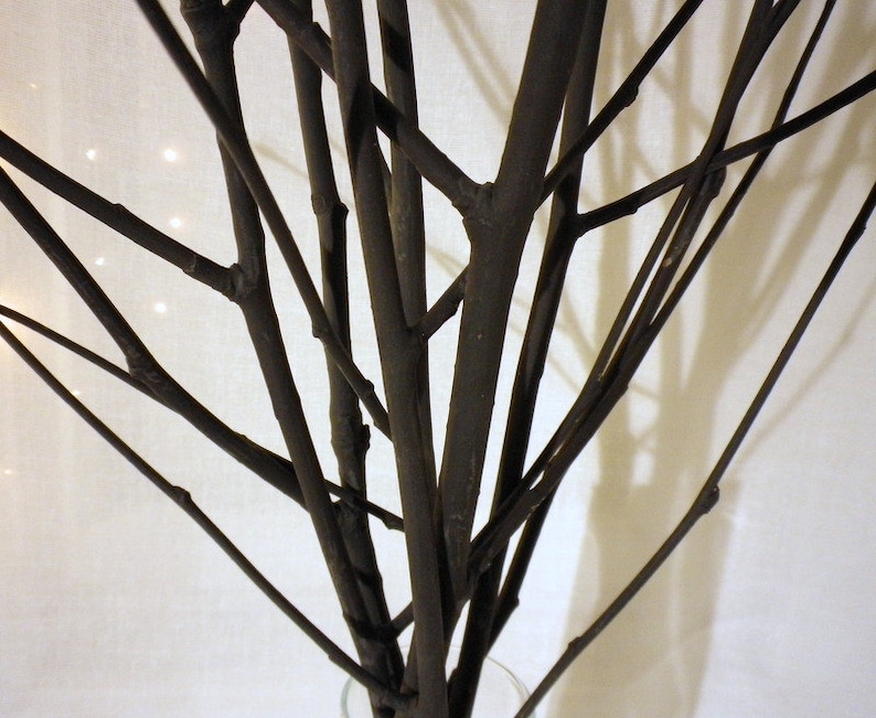 May include: A close-up of a bouquet of black branches arranged in a vase. The branches are thin and delicate, creating a minimalist and modern aesthetic.