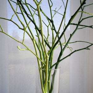 May include: A clear glass vase filled with a variety of green and light green branches. The branches are arranged in a random pattern, creating a natural and organic look.