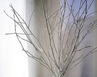 White Birch Twigs, Set of 12 hand painted birch branches, original vase filler, minimalist home decor, accent,interior decoration