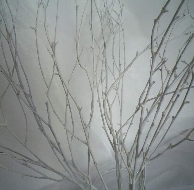 White Birch Twigs Set of 12 Hand Painted Birch Branches Etsy